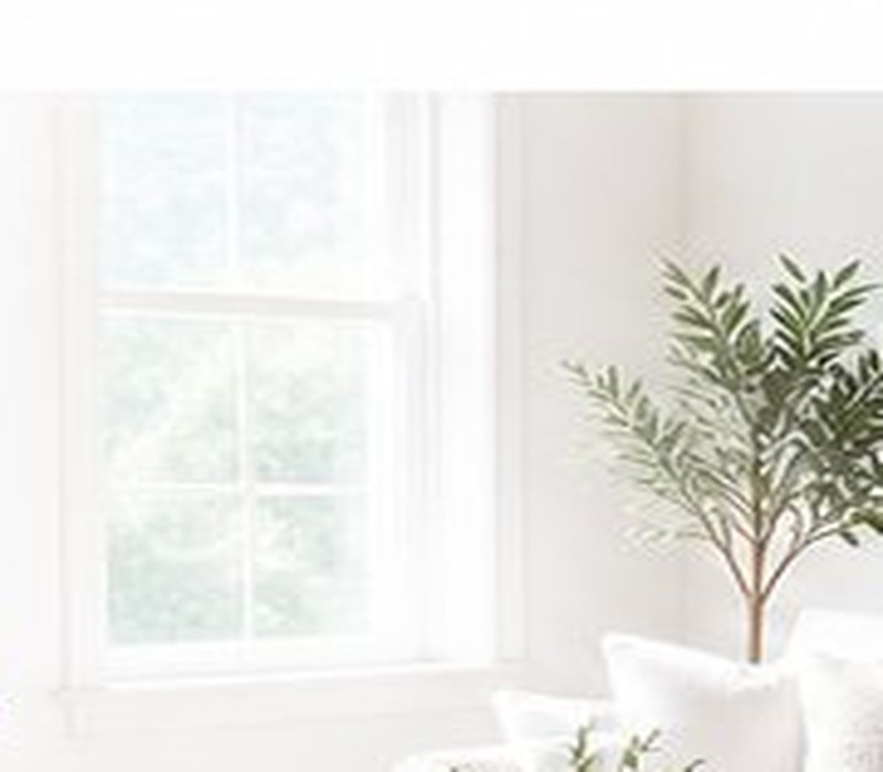 Bright clean living room with window light and houseplant